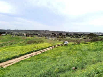 Terreno para Venda em Lagos (São Sebastião e Santa Maria)