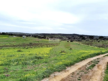 Terreno para Venda em Lagos (São Sebastião e Santa Maria)