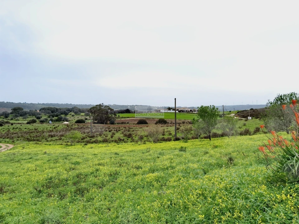 Terreno para Venda em Lagos (São Sebastião e Santa Maria) Foto 11