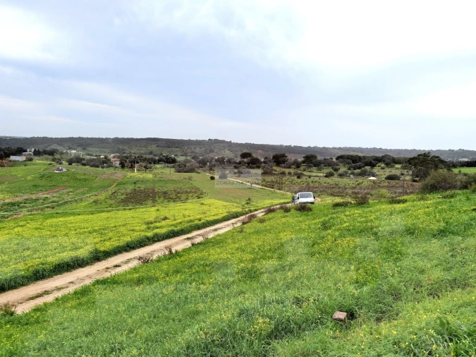 Terreno para Venda em Lagos (São Sebastião e Santa Maria) Foto 4