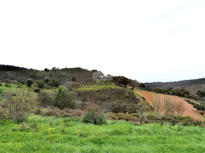 Terreno para Venda em Lagos (São Sebastião e Santa Maria) Foto 14