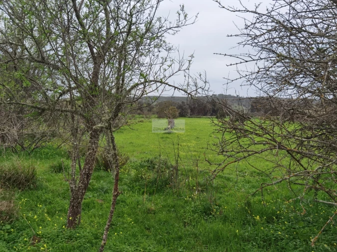 Terreno para Venda em Lagos (São Sebastião e Santa Maria) Foto 15