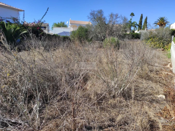 Terreno para Venda em Luz Foto 2