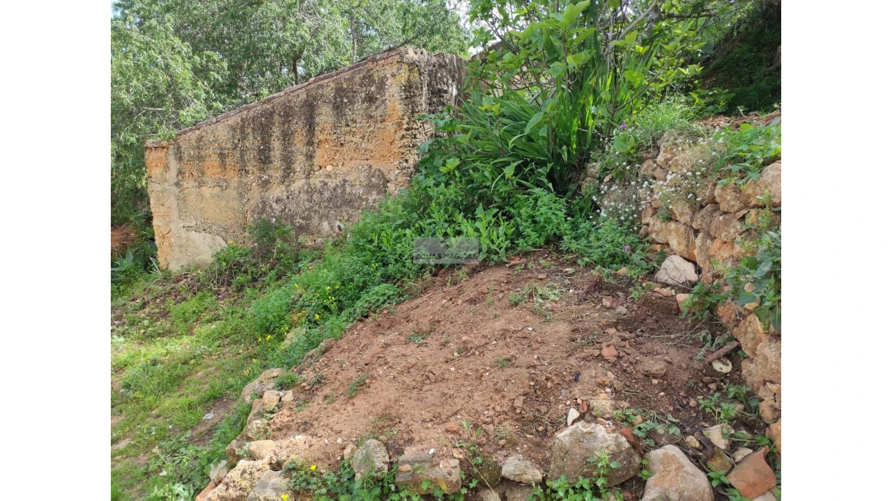 Terreno para Venda em Lagos (São Sebastião e Santa Maria) Foto 11