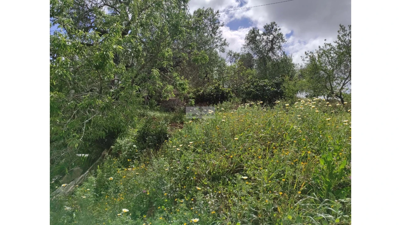 Terreno para Venda em Lagos (São Sebastião e Santa Maria) Foto 22
