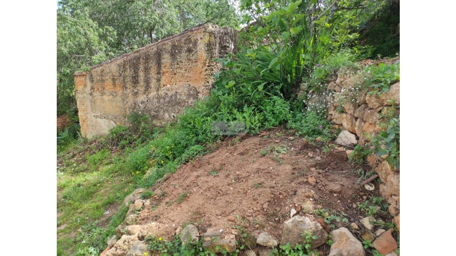 Terreno para Venda em Lagos (São Sebastião e Santa Maria) Foto 11