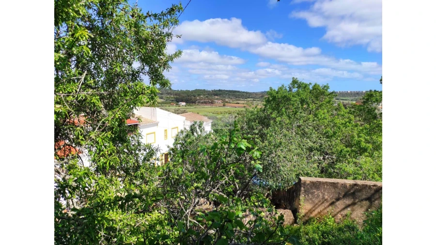 Terreno para Venda em Lagos (São Sebastião e Santa Maria) Foto 20