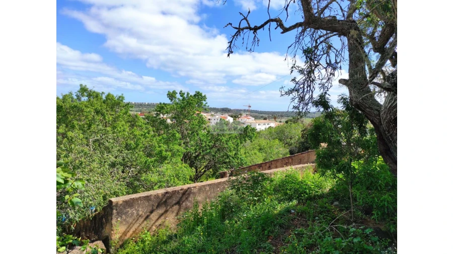 Terreno para Venda em Lagos (São Sebastião e Santa Maria) Foto 21