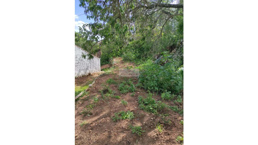 Terreno para Venda em Lagos (São Sebastião e Santa Maria) Foto 16