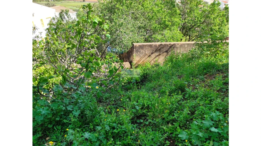 Terreno para Venda em Lagos (São Sebastião e Santa Maria) Foto 19
