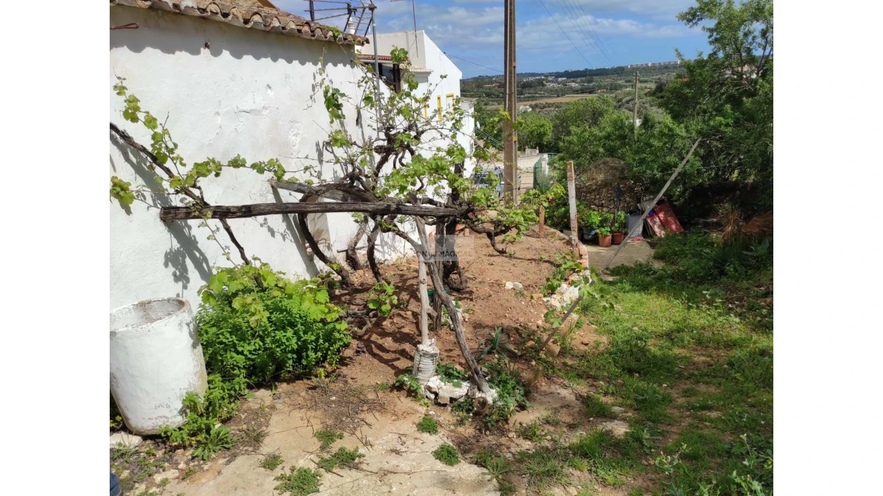Terreno para Venda em Lagos (São Sebastião e Santa Maria) Foto 12