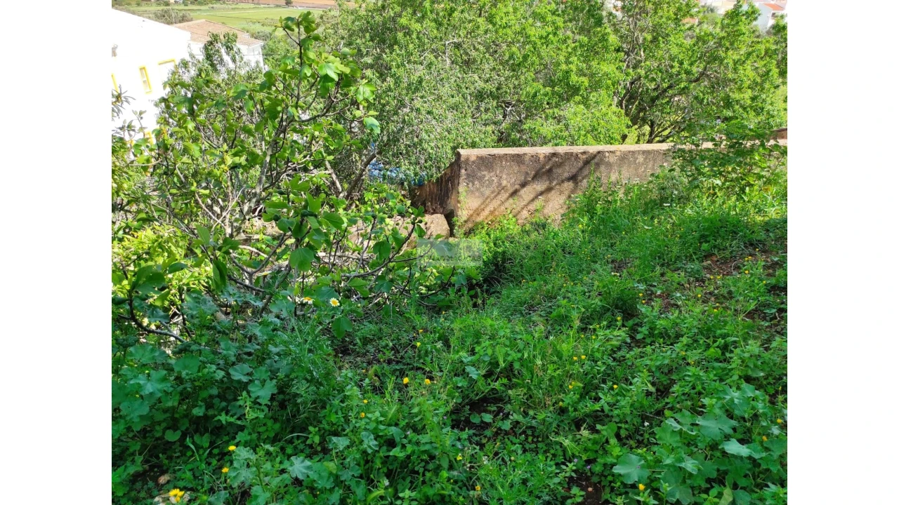 Terreno para Venda em Lagos (São Sebastião e Santa Maria) Foto 19