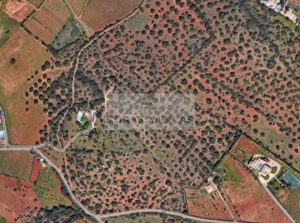 Terreno para Venda em Odiaxere Foto 1