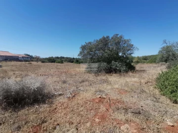Terreno para Venda em Mexilhoeira Grande