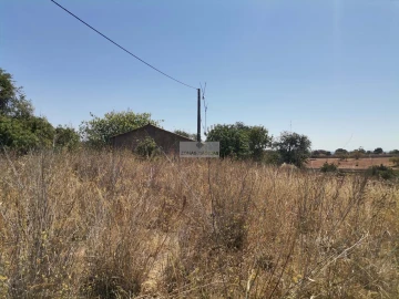 Terreno para Venda em Mexilhoeira Grande