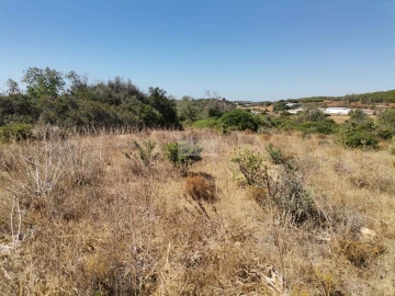 Terreno para Venda em Mexilhoeira Grande