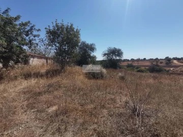 Terreno para Venda em Mexilhoeira Grande