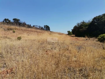 Terreno para Venda em Mexilhoeira Grande