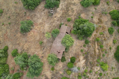 Terreno para Venda em Mexilhoeira Grande
