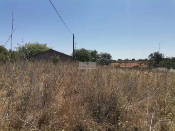 Terreno para Venda em Mexilhoeira Grande