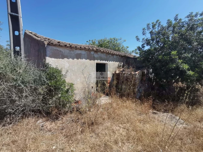 Terreno para Venda em Mexilhoeira Grande Foto 6