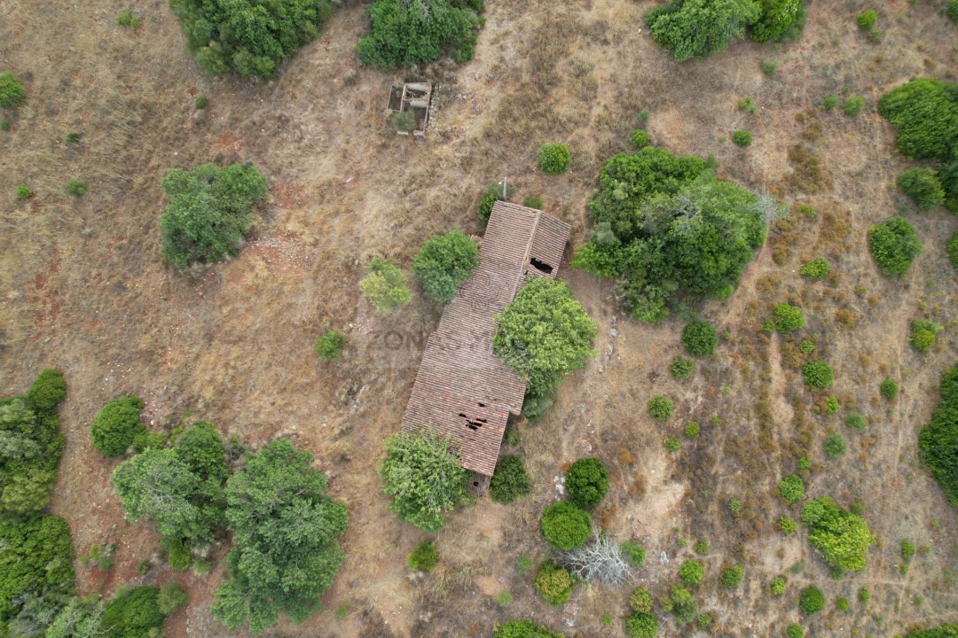 Terreno para Venda em Mexilhoeira Grande Foto 20