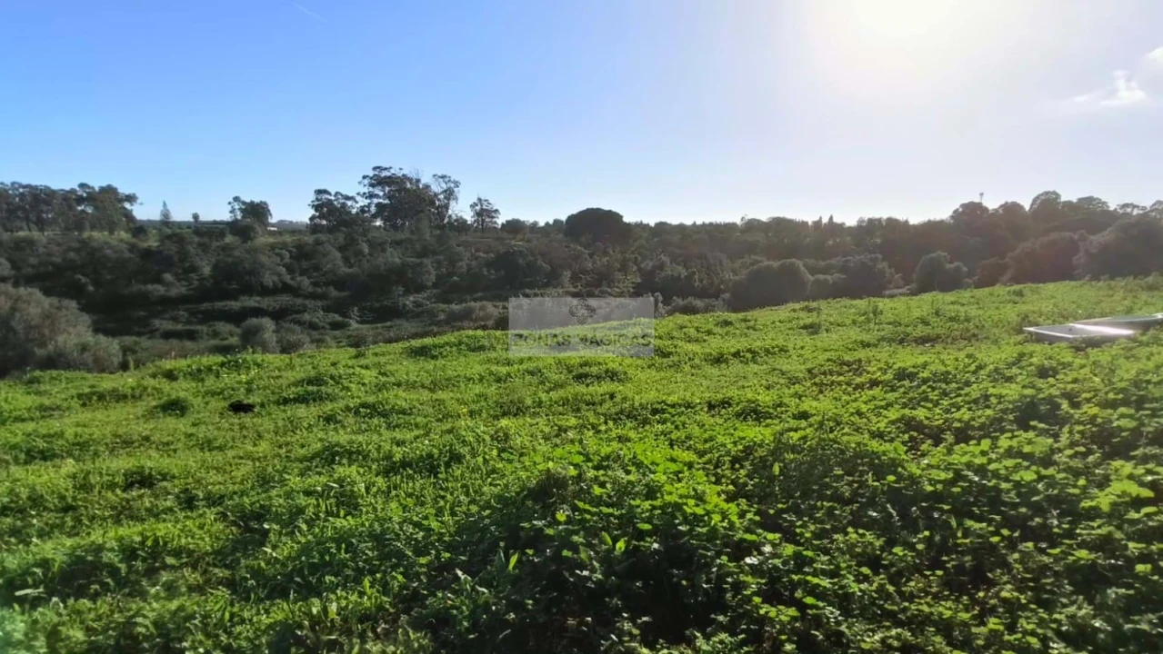 Terreno para Venda em Lagos (São Sebastião e Santa Maria) Foto 9