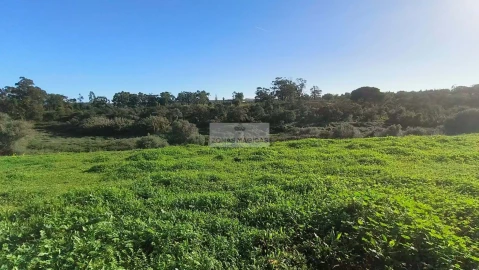Terreno para Venda em Lagos (São Sebastião e Santa Maria)