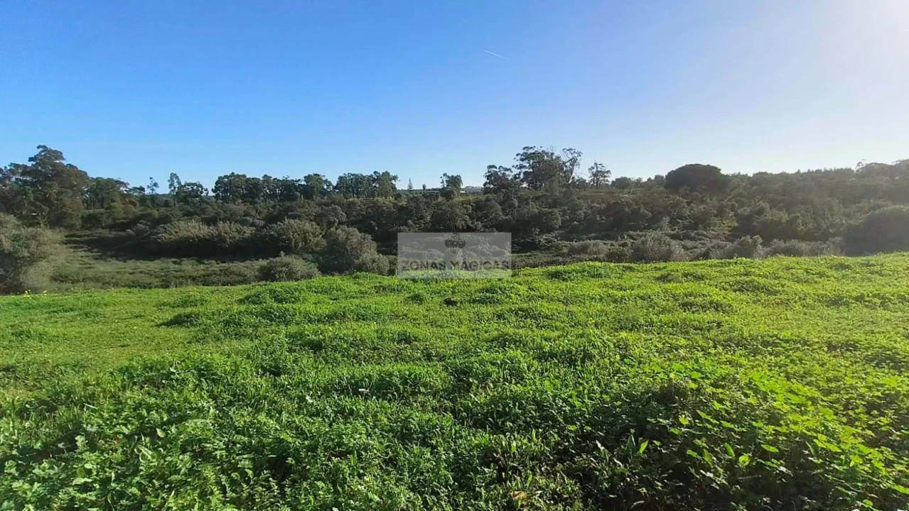 Terreno para Venda em Lagos (São Sebastião e Santa Maria) Foto 13