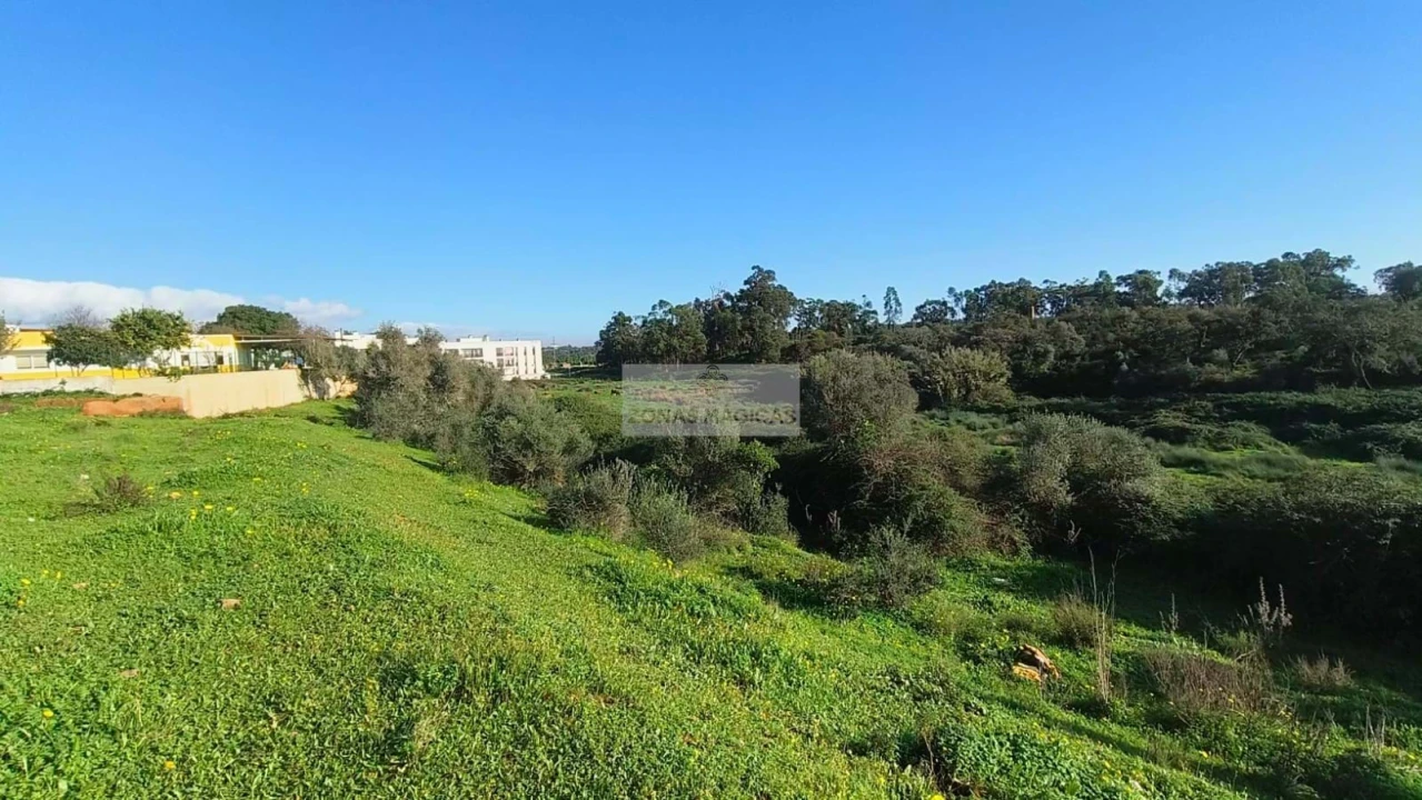Terreno para Venda em Lagos (São Sebastião e Santa Maria) Foto 3