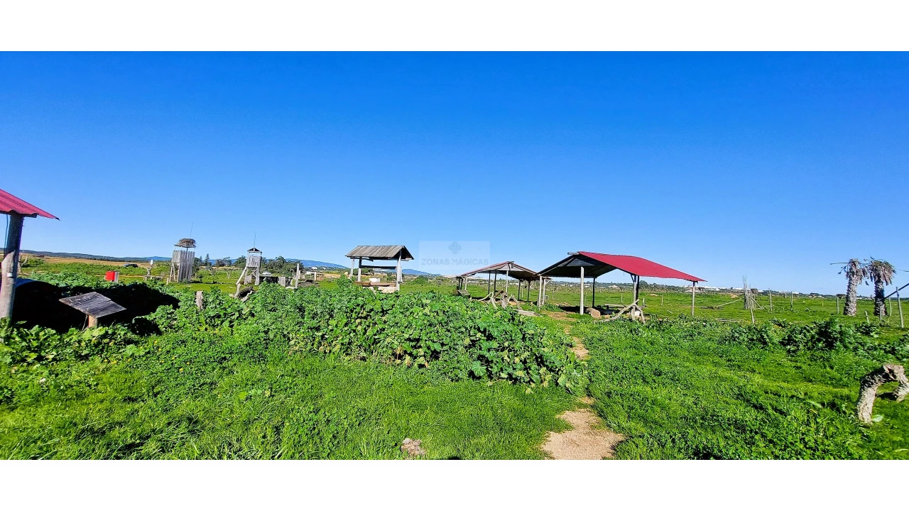 Quinta T4 para Venda em Odiaxere Foto 33