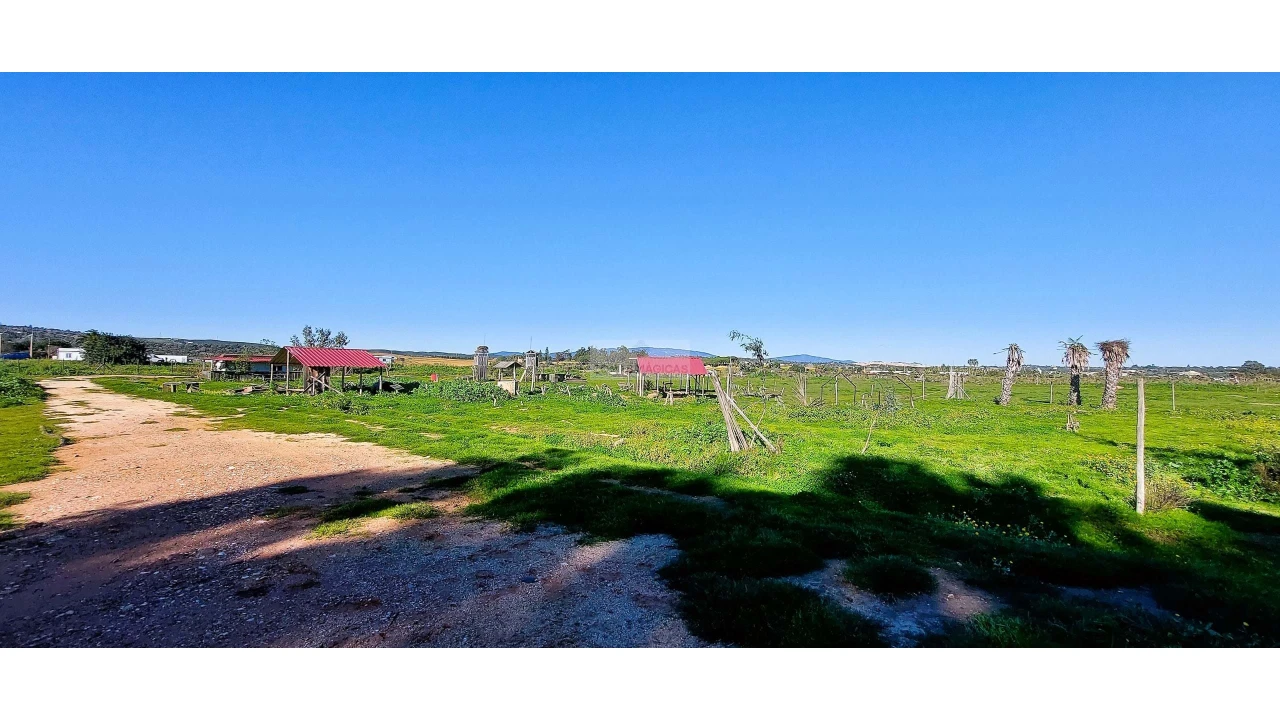 Quinta T4 para Venda em Odiaxere Foto 32