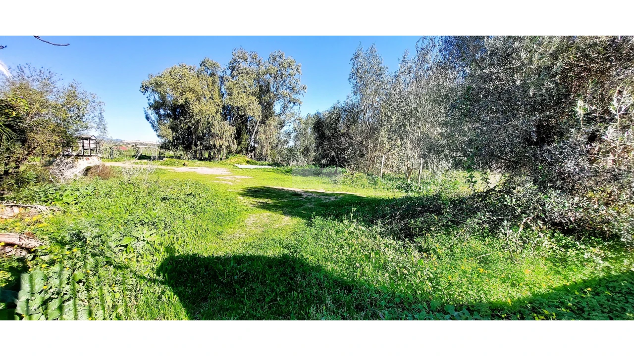 Quinta T4 para Venda em Odiaxere Foto 2