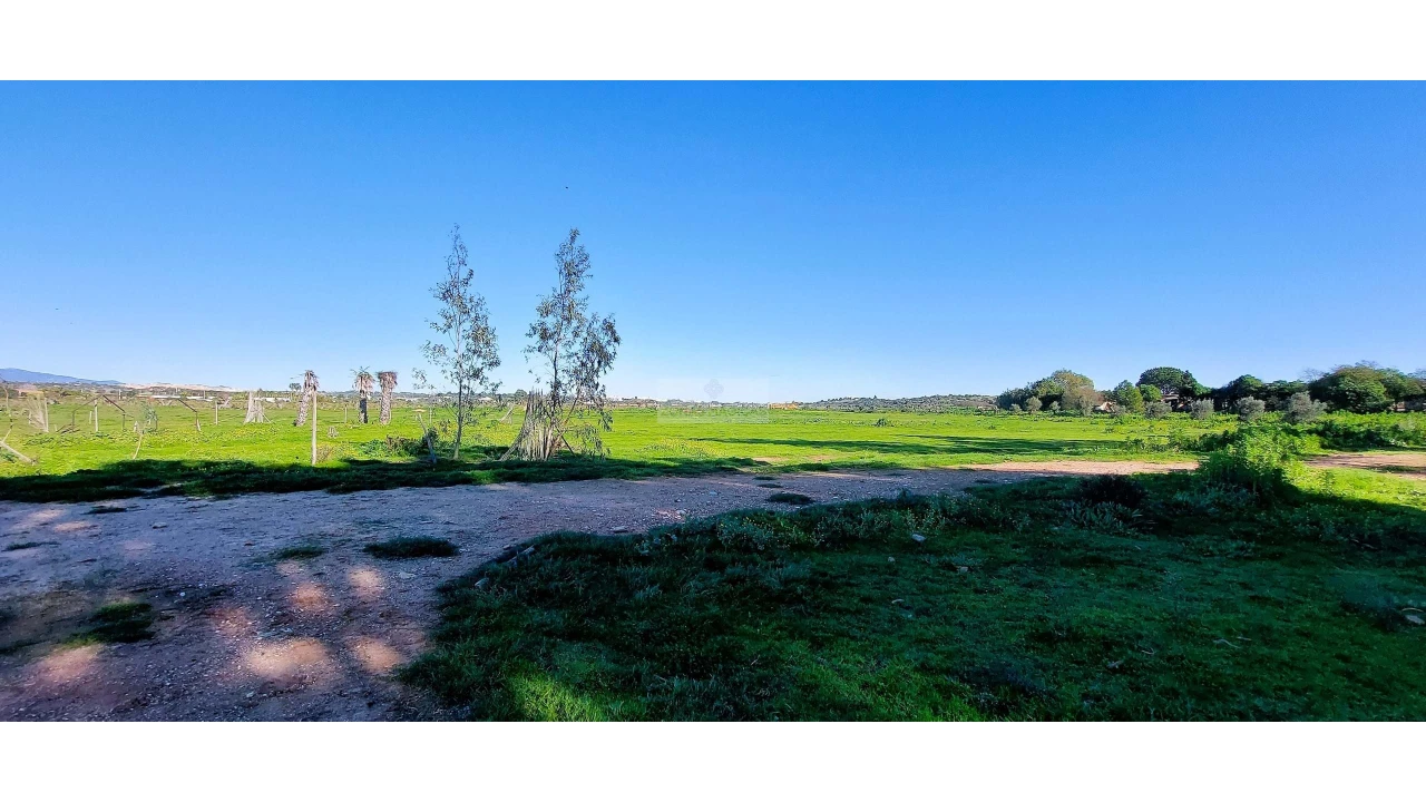 Quinta T4 para Venda em Odiaxere Foto 30