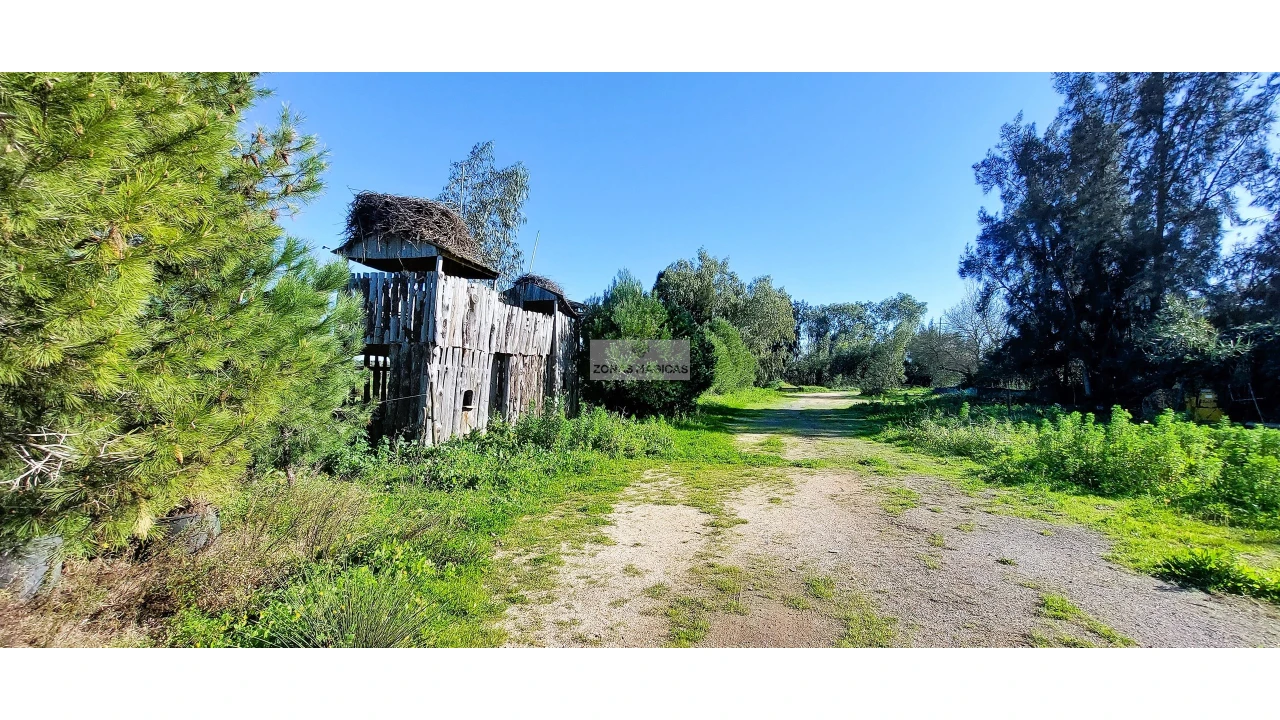 Quinta T4 para Venda em Odiaxere Foto 21