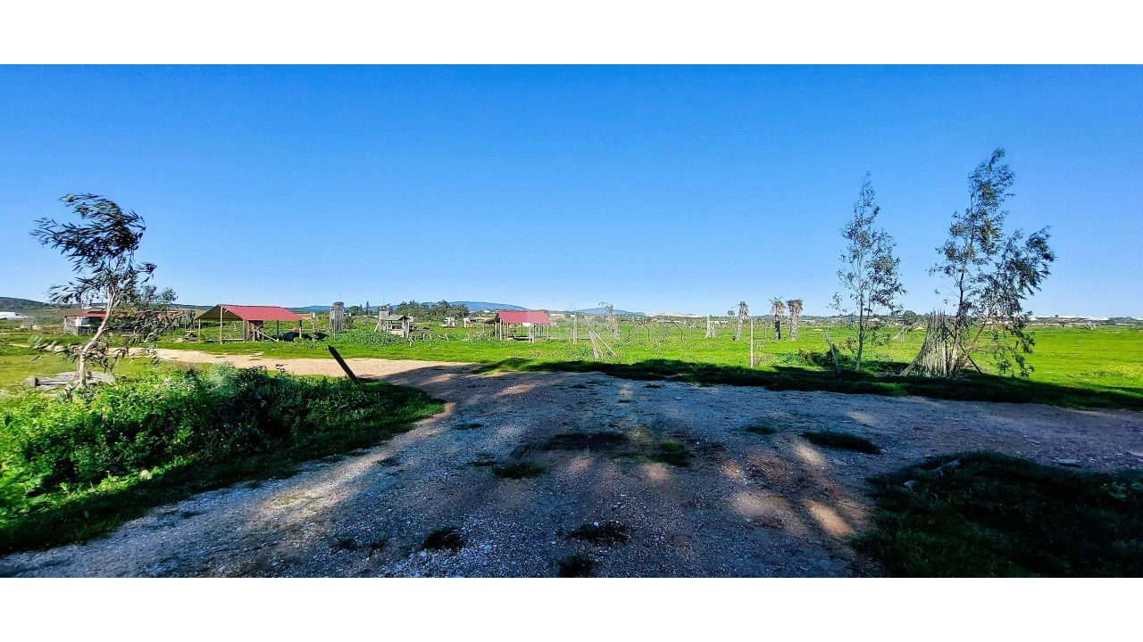 Quinta T4 para Venda em Odiaxere Foto 31