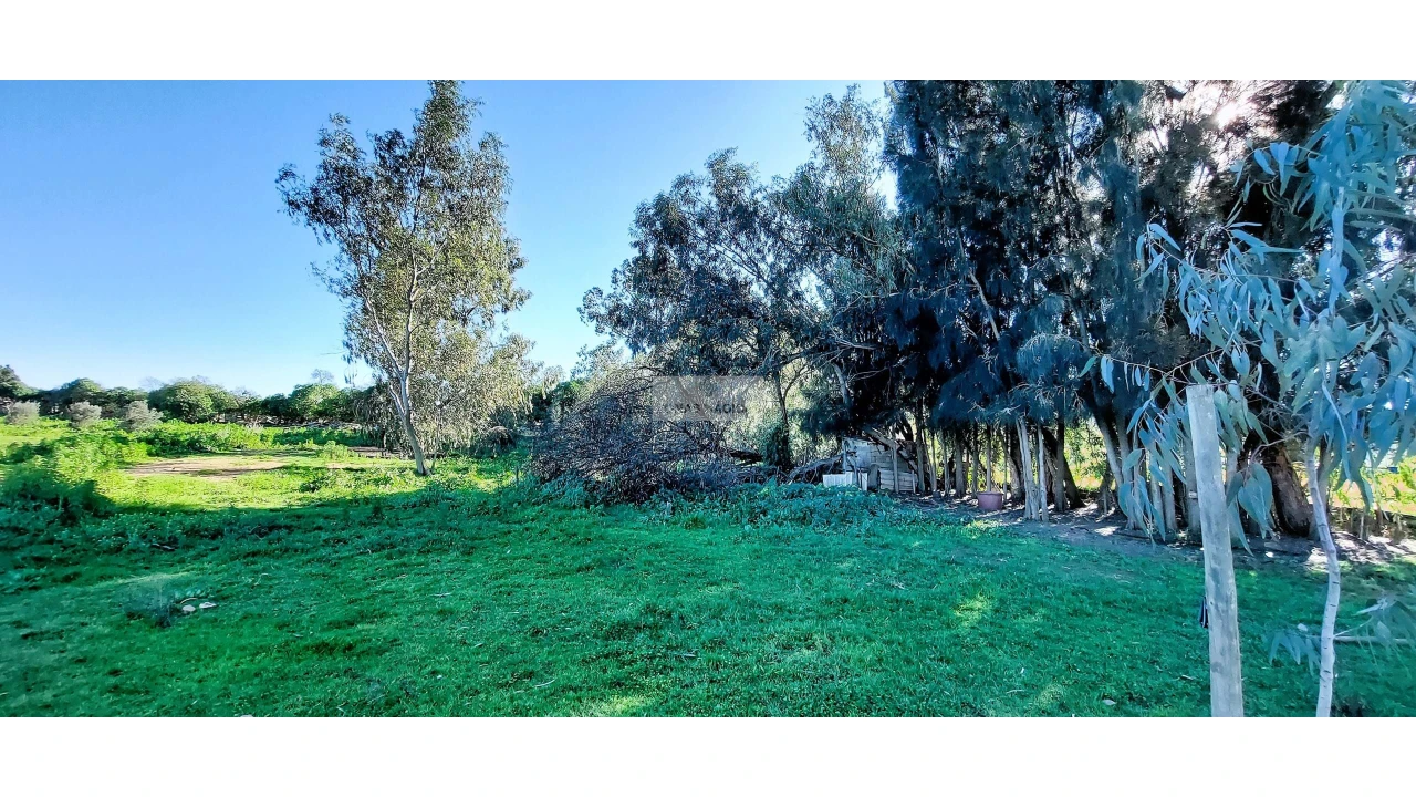 Quinta T4 para Venda em Odiaxere Foto 29