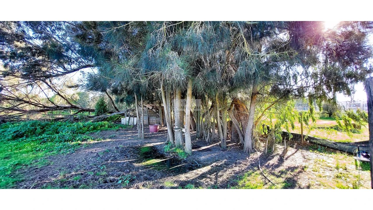 Quinta T4 para Venda em Odiaxere Foto 26