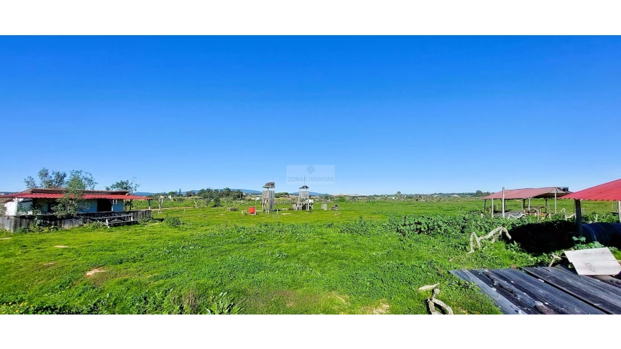 Quinta T4 para Venda em Odiaxere Foto 34