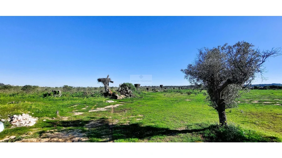 Quinta T4 para Venda em Odiaxere Foto 43