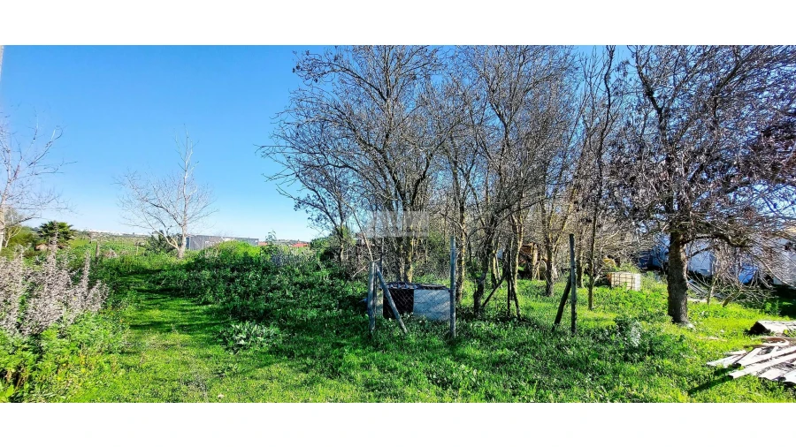 Quinta T4 para Venda em Odiaxere Foto 17