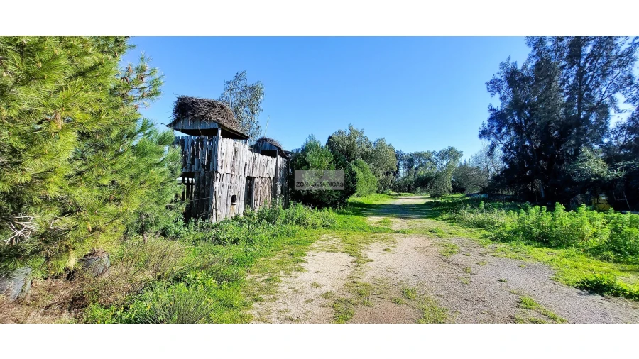 Quinta T4 para Venda em Odiaxere Foto 21