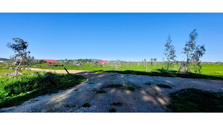 Quinta T4 para Venda em Odiaxere Foto 31