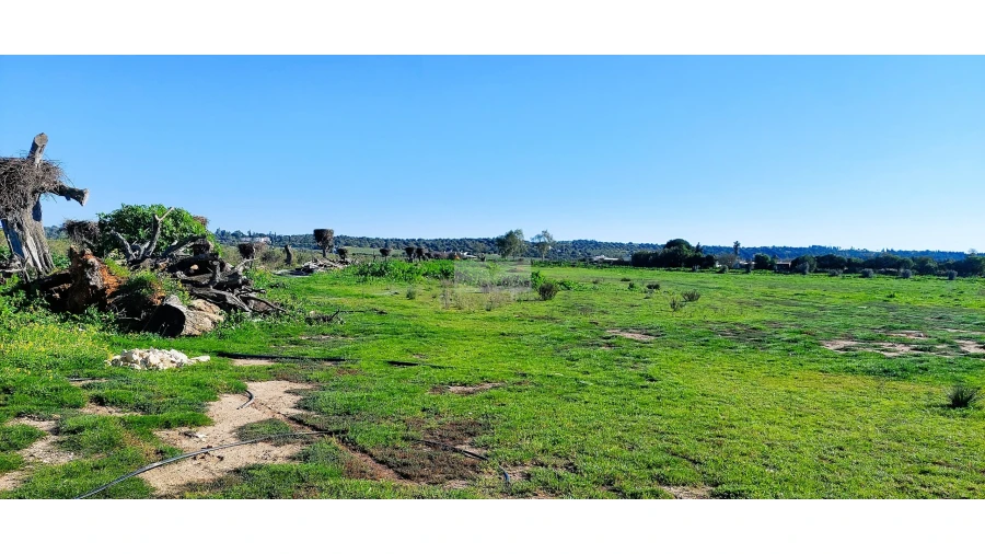 Quinta T4 para Venda em Odiaxere Foto 47