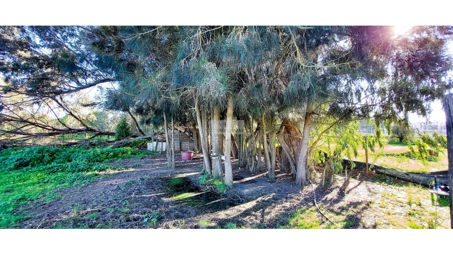 Quinta T4 para Venda em Odiaxere Foto 26