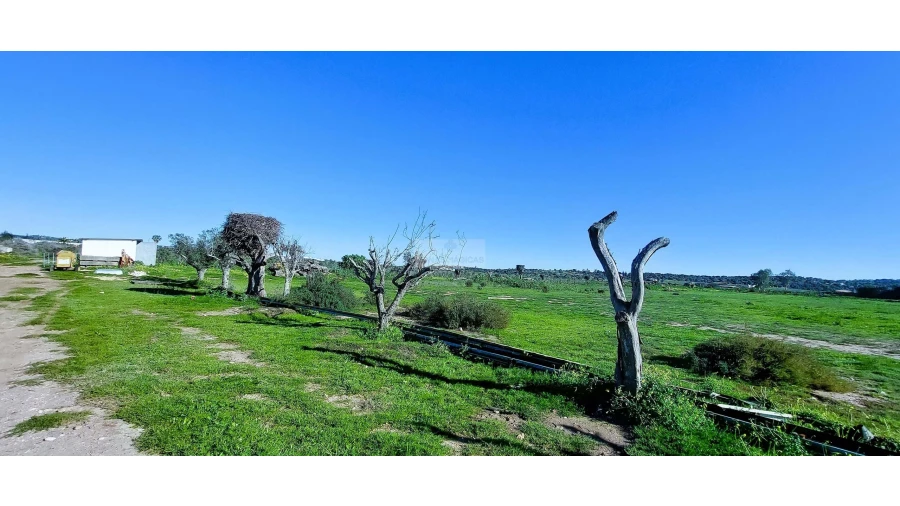 Quinta T4 para Venda em Odiaxere Foto 42