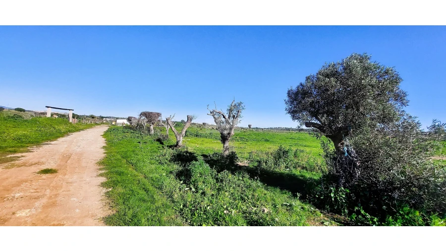 Quinta T4 para Venda em Odiaxere Foto 41