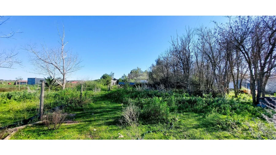 Quinta T4 para Venda em Odiaxere Foto 18