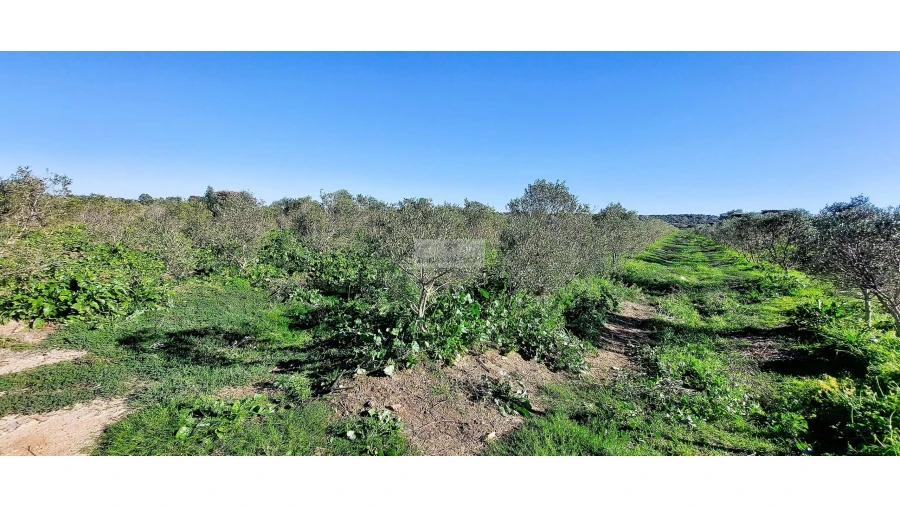 Quinta T4 para Venda em Odiaxere Foto 46