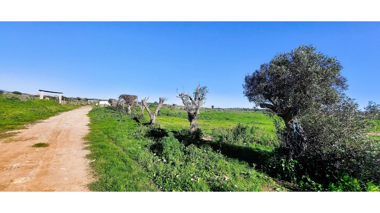 Quinta T4 para Venda em Odiaxere Foto 41